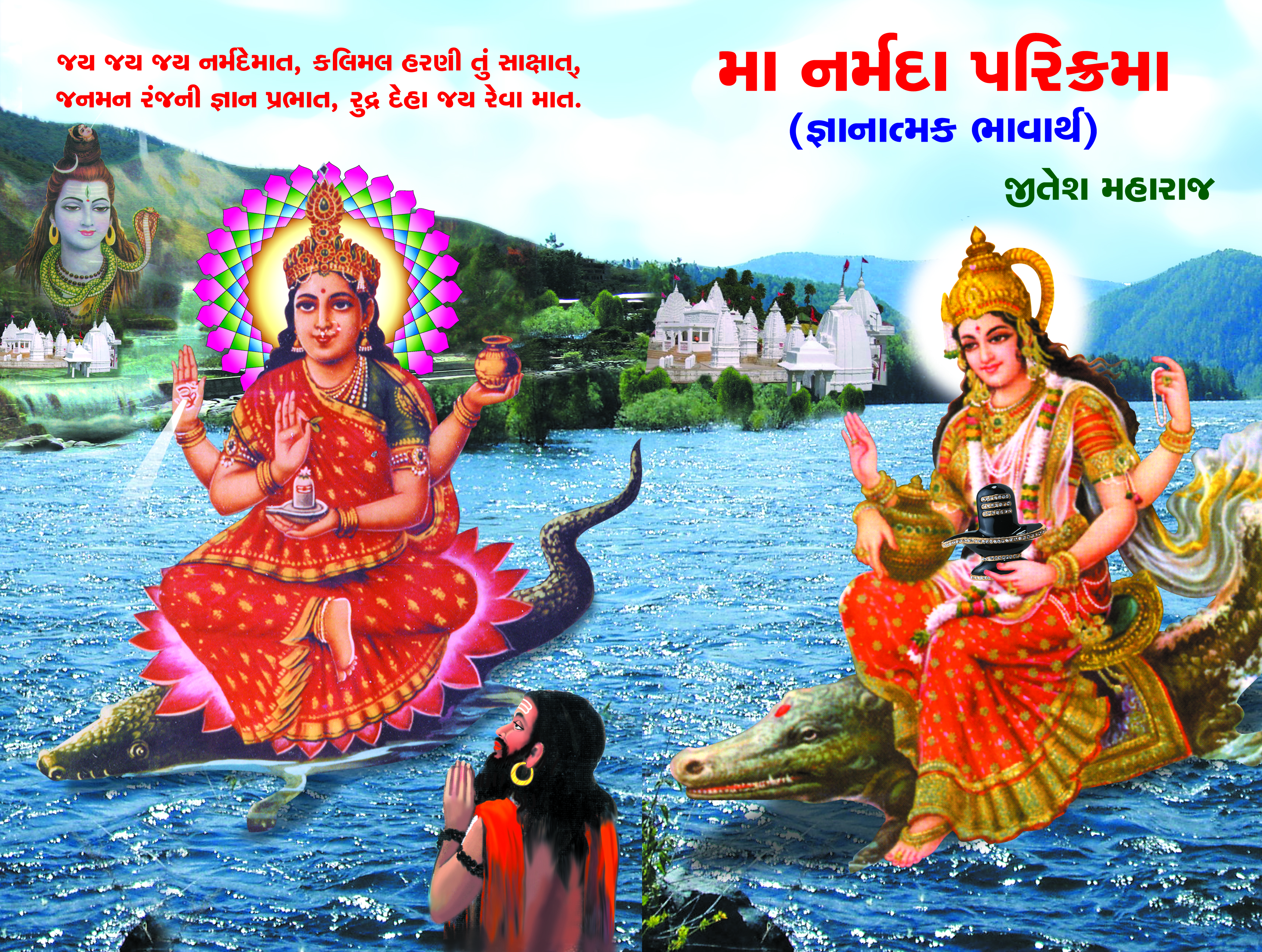 Maa Narmada Parikrama